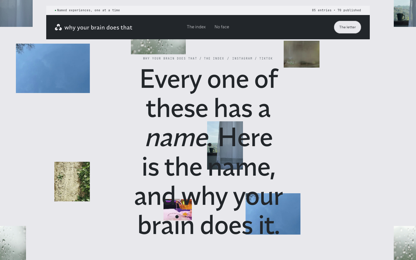 whyyourbrain.thecompound.tech at a 1440 pixel desktop viewport